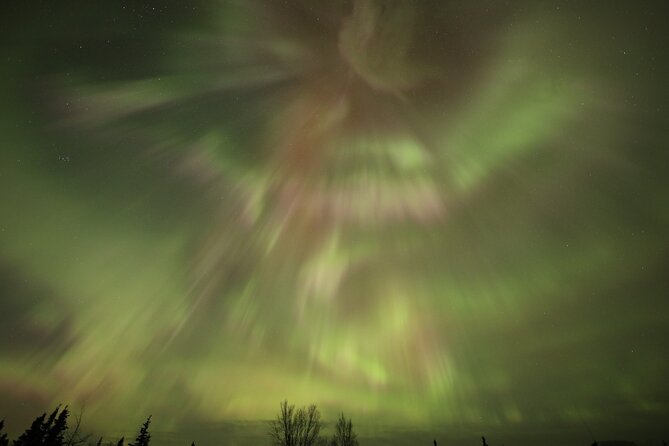 1 Day Shared Tour Arctic Circle and Aurora Viewing in Alaska - Key points to know before booking