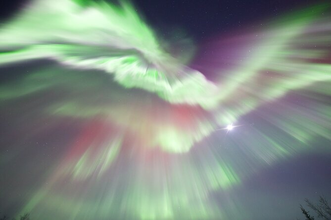 1 Day Shared Tour Arctic Circle and Aurora Viewing in Alaska - What this 12.5-hour Arctic Circle tour is really like