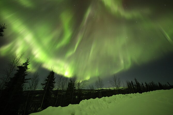 1 Day Shared Tour Arctic Circle and Aurora Viewing in Alaska - Reaching the Arctic Circle monument