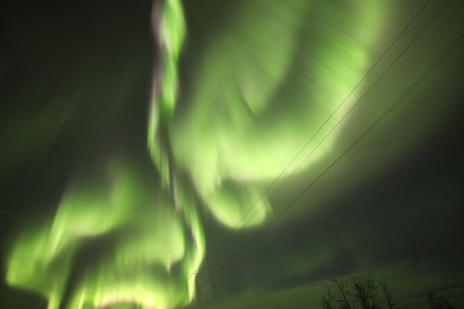 1 Day Shared Tour Arctic Circle and Aurora Viewing in Alaska - Chasing the northern lights on the way back
