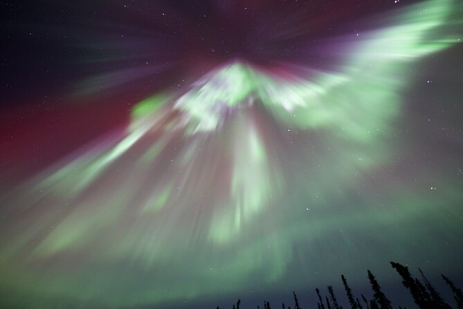 1 Day Shared Tour Arctic Circle and Aurora Viewing in Alaska - How the $165 price compares with the experience