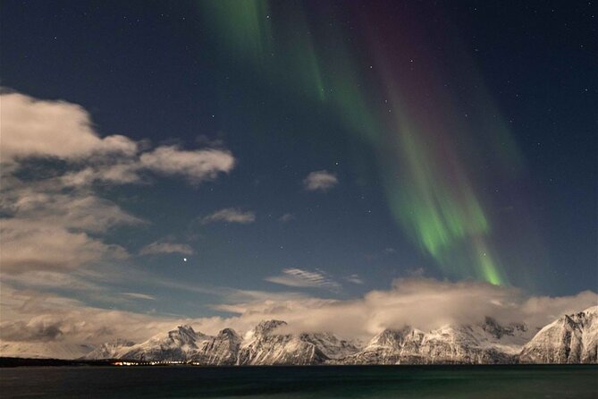 24hr Northern Lights & Whale Watching Cruise - The first evening: dinner, safety, and the aurora search