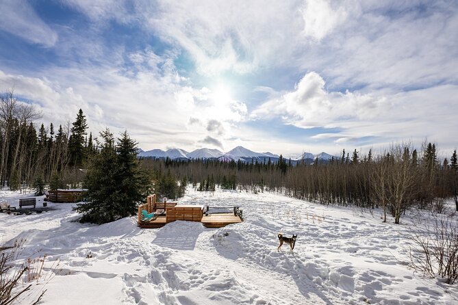3-day Yukon Northern Lights Adventure - Whitehorse arrival and a small-town introduction