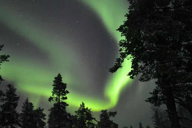 3-Hour Snowmobile Safari to Search Northern Lights in Levi - Searching for the northern lights