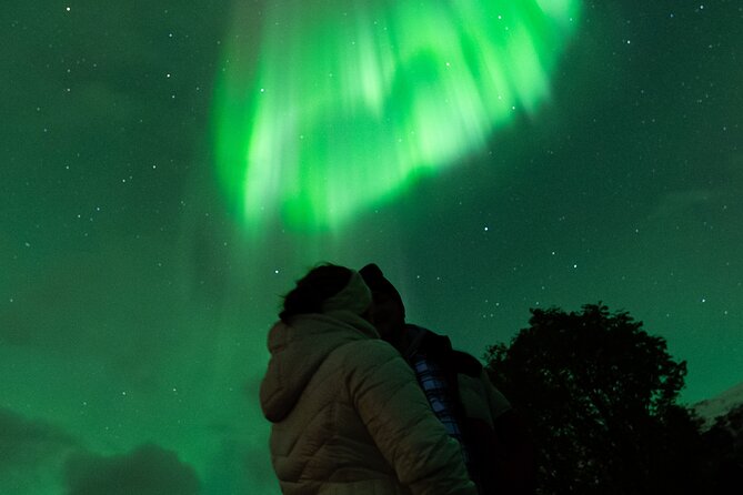 7 hours Tromsø Aurora Tour: Photos, snacks & warm drinks included - Why the chase matters around Tromsø