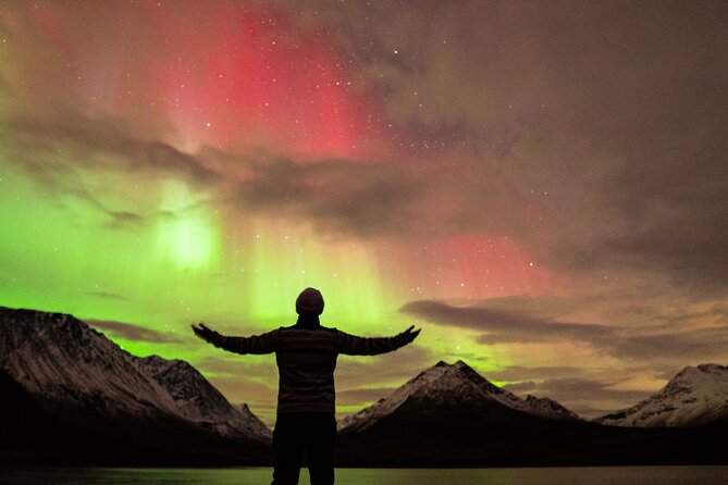 7 hours Tromsø Aurora Tour: Photos, snacks & warm drinks included - The Tromsø meeting point and bus setup