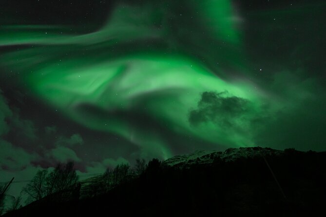 7 hours Tromsø Aurora Tour: Photos, snacks & warm drinks included - What the 6 to 7 hour evening feels like