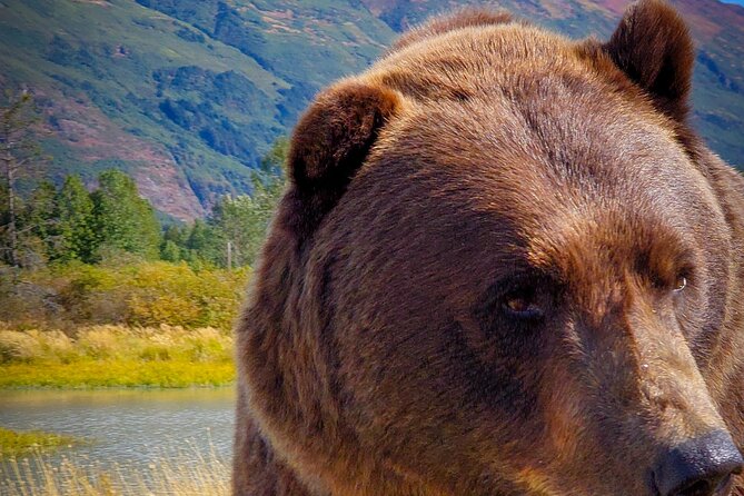 A Quest for Northern Lights Sightseeing Tour - Price, group size, and overall value