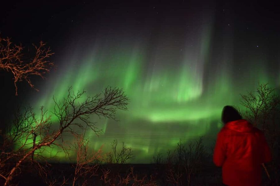 Abisko Arctic Ecology and Northern Lights Tour - Why this is more than an aurora chase