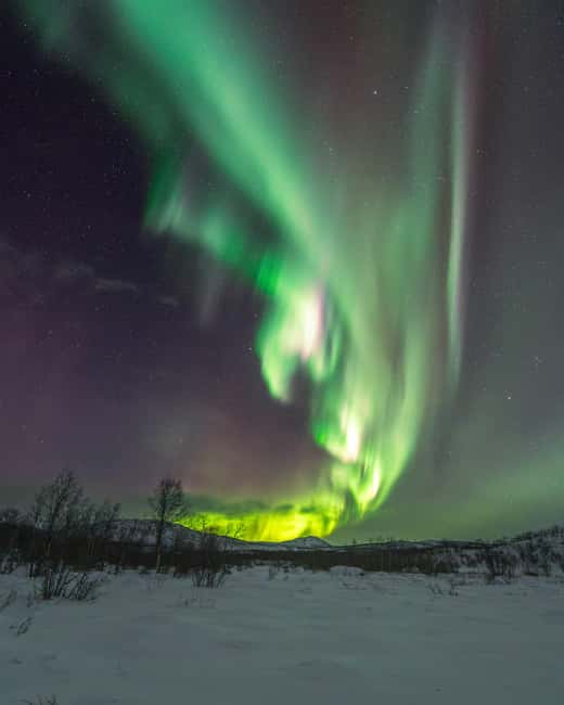 Abisko: Aurora Car Chasing Tour with Photographer - The guides: Jeff and the wider guiding team