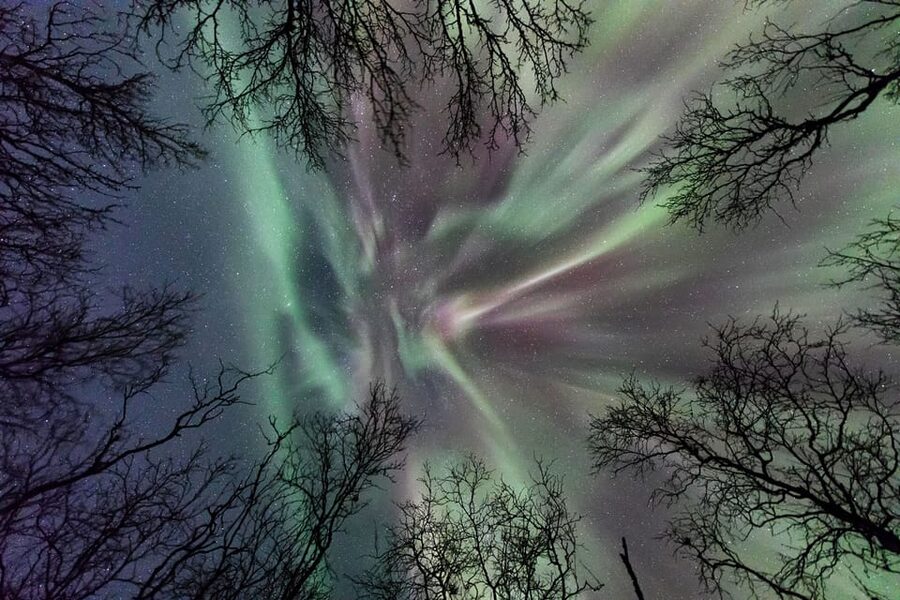 Abisko: Guided Autumn Aurora Chase with Hotel Transfers - Why the moving search matters in Abisko
