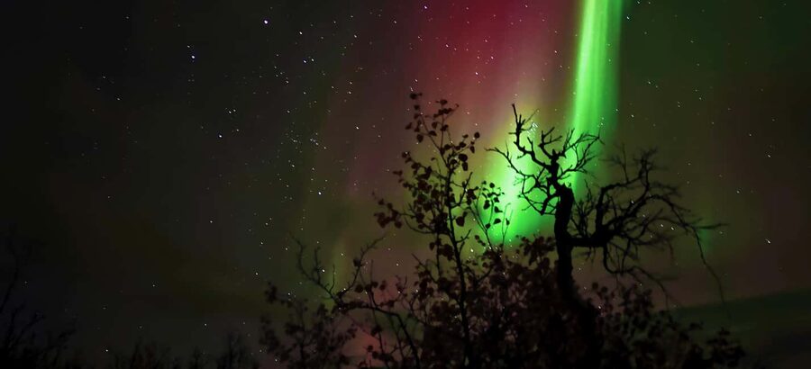 Abisko: Northern Lights Hike with Husky Puppies - What $142 buys you