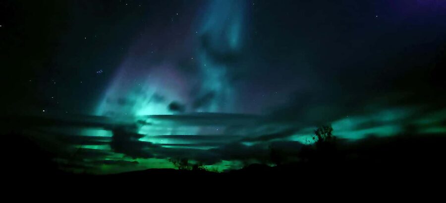 Abisko: Northern Lights Hike with Husky Puppies - Who will enjoy this outing most