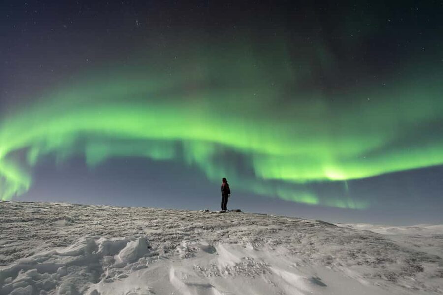 Abisko: Northern Lights Photography Tour with Dinner - Who will enjoy this most?
