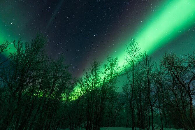Abisko Northern Lights Tour with Photographer - Chasing clear skies from Abisko at 7 pm