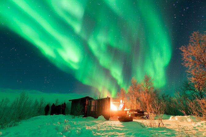 Abisko Northern Lights Tour with Photographer - Who will enjoy this Abisko aurora outing?