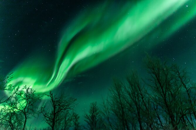 Abisko Northern Lights Tour with Photographer - Why the small group makes a difference