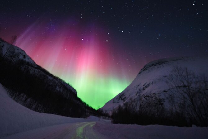 Adults Only Aurora Hunt with Wandering Owl - Firelight, soup, and the long wait