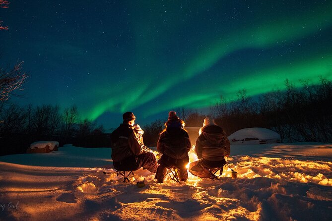 Adults Only Aurora Hunt with Wandering Owl - Kvaløya: the coastal option