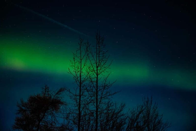 Akureyri: Northern Lights Hunt with Forest Lagoon Entry - Three hours around Eyjafjord