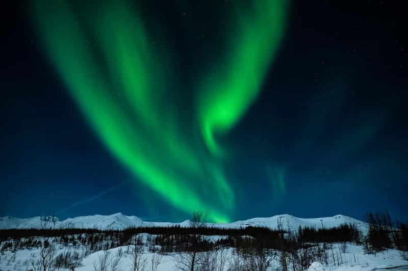 Akureyri: Northern Lights Hunt with Forest Lagoon Entry - What the evening feels like in practice