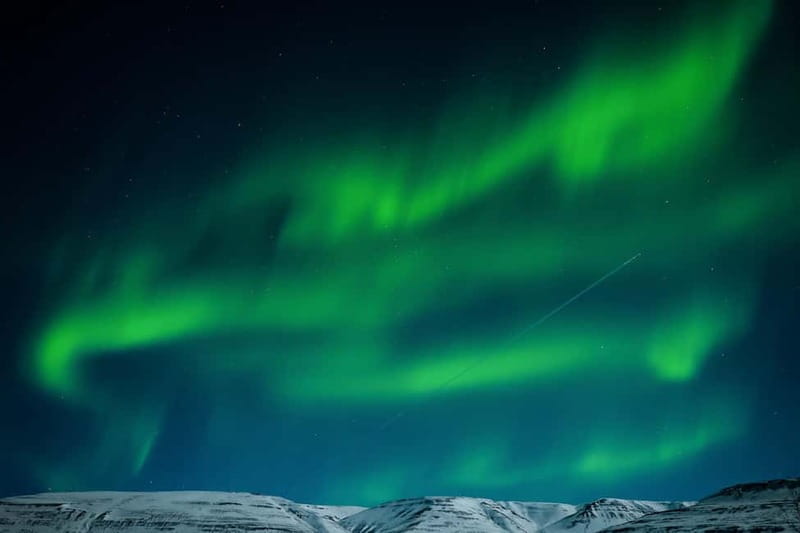 Akureyri: Northern Lights Hunt with Forest Lagoon Entry - Price and what the $235 covers