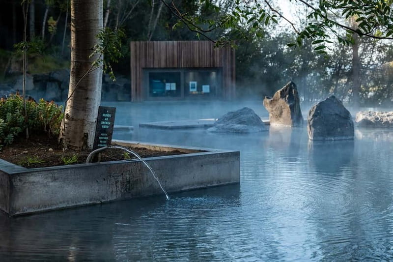 Akureyri: Northern Lights Hunt with Forest Lagoon Entry - Pickup from Akureyri hotels