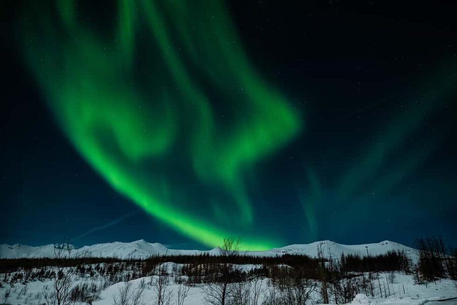 Akureyri: Northern Lights Tour - The three-hour search for the Aurora Borealis