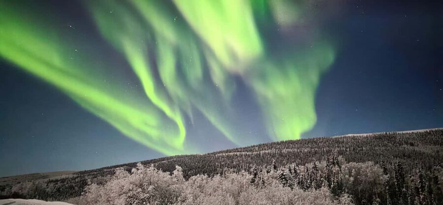 Alaska: Private Northern Lights Viewing Tour - Key points to know