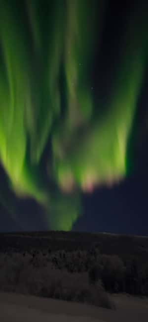 Alaska: Private Northern Lights Viewing Tour - Multiple viewing locations, with no fixed sightseeing script