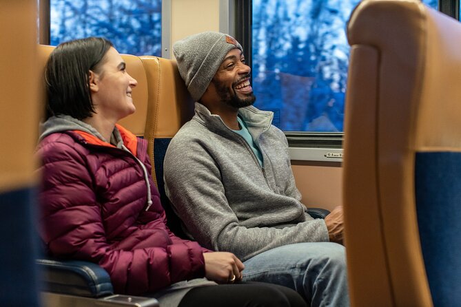 Alaska Railroad Aurora Winter Anchorage to Fairbanks One Way - What the $259 fare really buys you