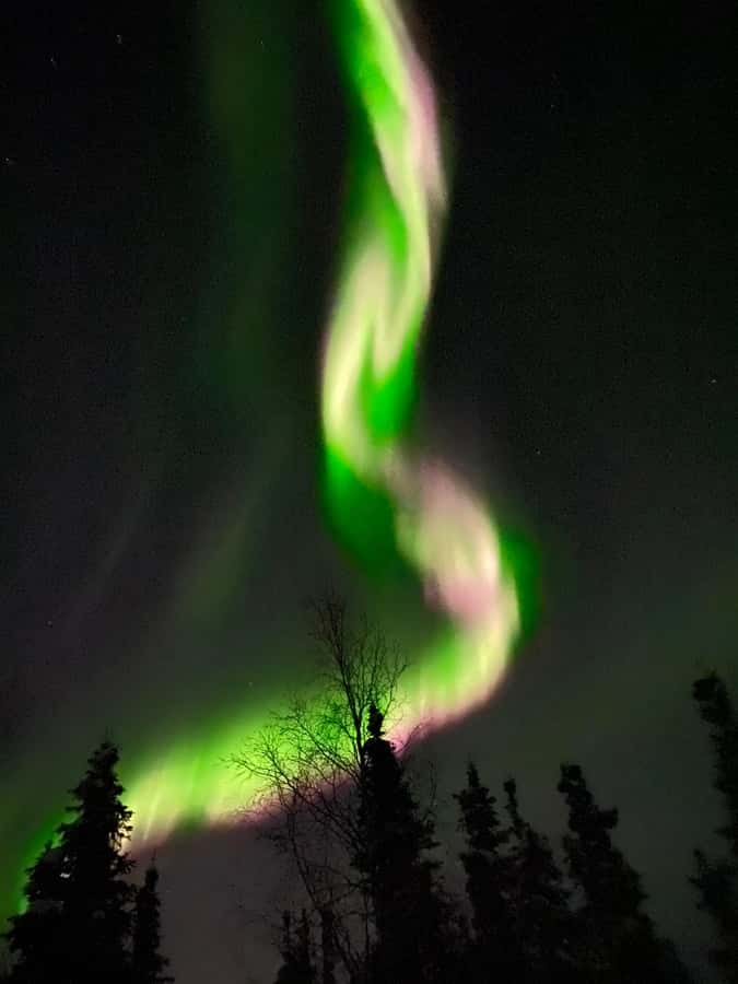 Alaskan Northern Lights/Aurora Borealis Lodges - Photographing the sky outside