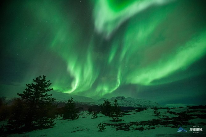 All inclusive - Northern Lights Hunt - Why this Tromsø aurora hunt is different