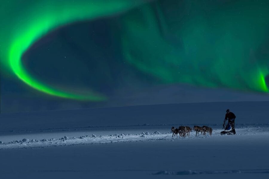 Alta: Dog Sledding Trip under the Northern Lights - Chasing the Northern Lights without a promise