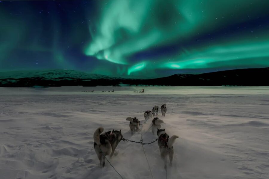 Alta: Dog Sledding Trip under the Northern Lights - Getting suited up for the Arctic cold