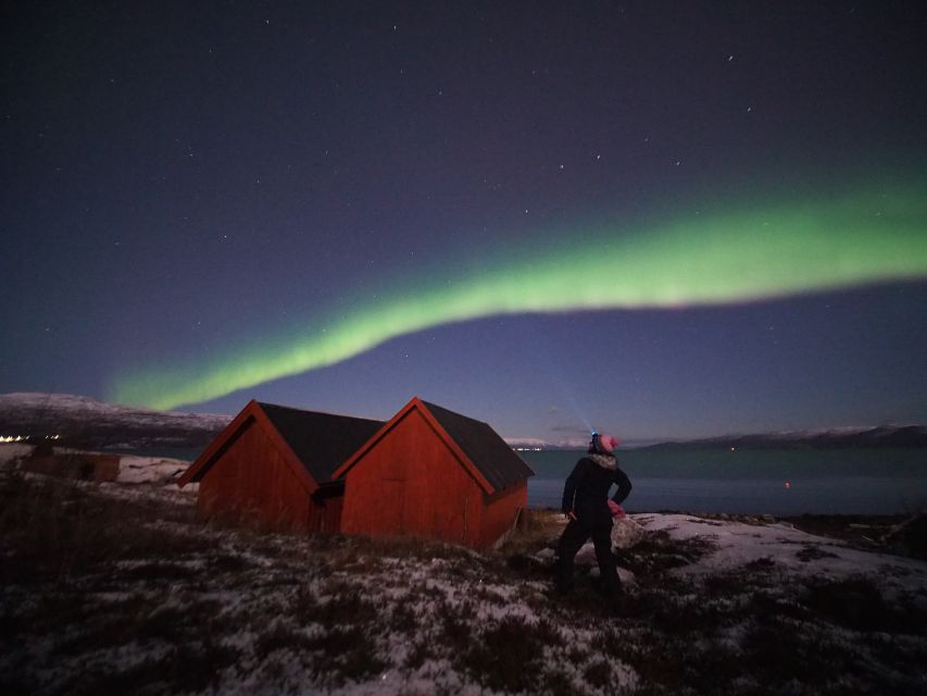 Alta: Small-Group Guided Northern Lights Tour - Key points to know before you book