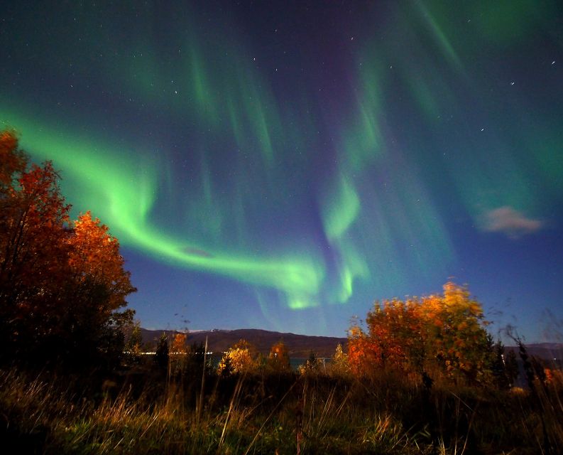 Alta: Small-Group Guided Northern Lights Tour - Small details that improve the evening