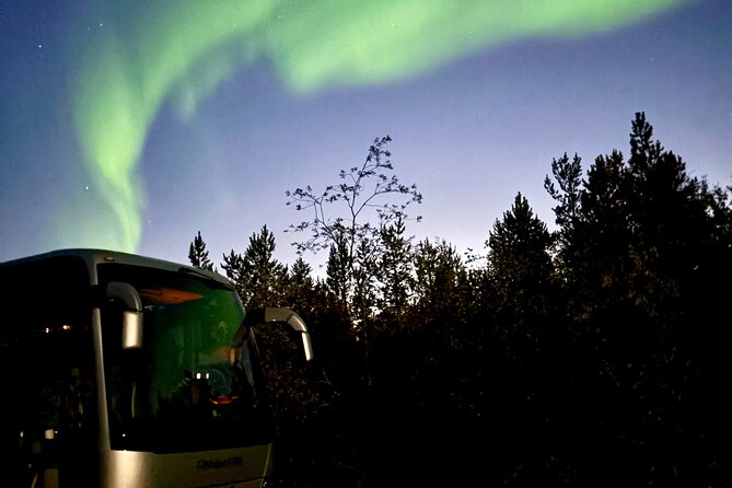 Alta: The Northern Lights Bus – a comfortable Arctic journey - The moving search for clear sky