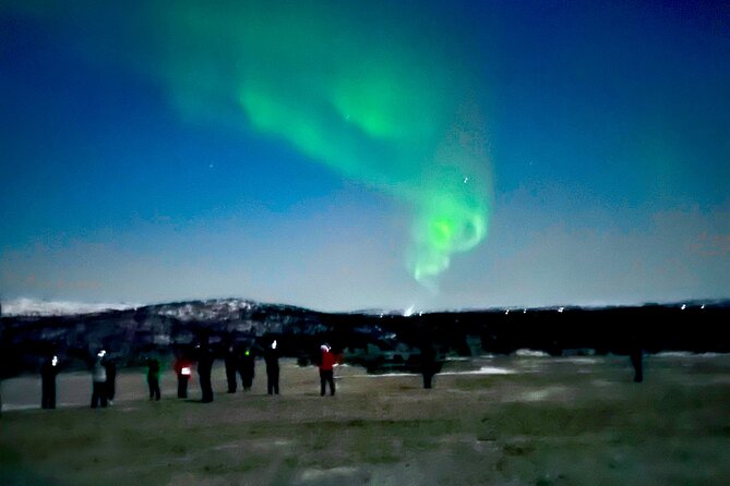 Alta: The Northern Lights Bus – a comfortable Arctic journey - What the guide adds to the evening