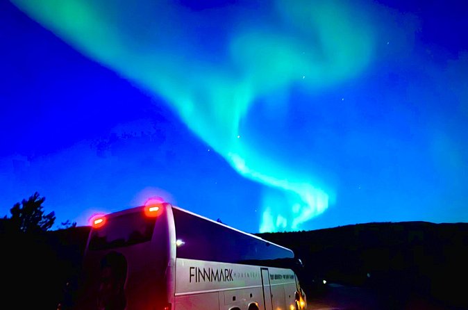 Alta: The Northern Lights Bus – a comfortable Arctic journey - Bus comfort and group size