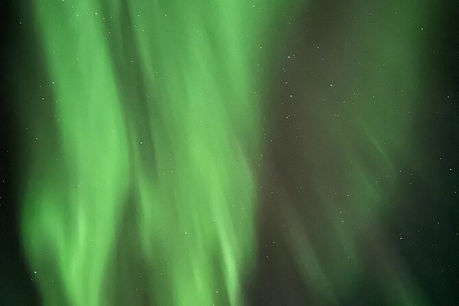 Alta: The Northern Lights Bus – a comfortable Arctic journey - Weather, timing, and realistic expectations