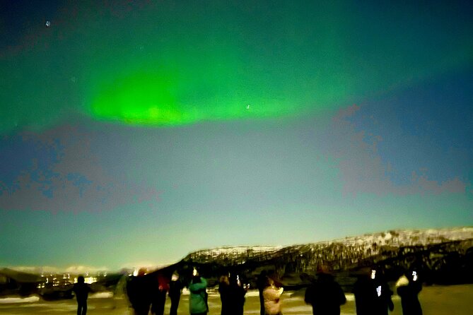 Alta: The Northern Lights Bus – a comfortable Arctic journey - Who will enjoy this tour most