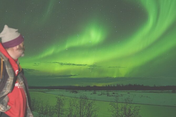 Amazing Aurora Chasing Experience. - What the $195 Price Buys You