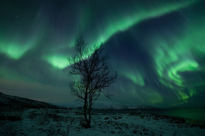 An All-Inclusive Tour - Aurora & Arctic Experience - Thermal suits help, but boots remain your responsibility
