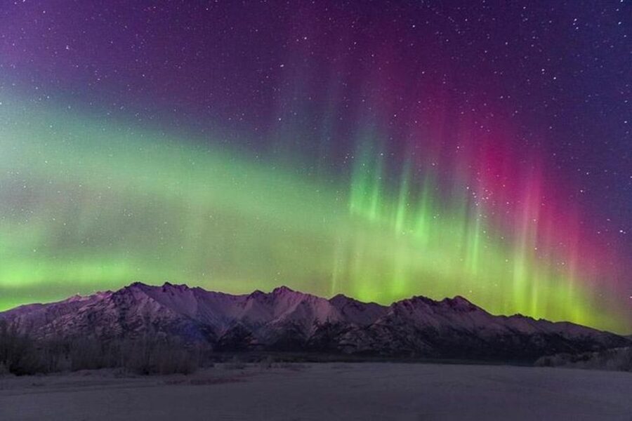 Anchorage: Aurora Borealis Northern Lights Photography Tour - Key points to know before booking
