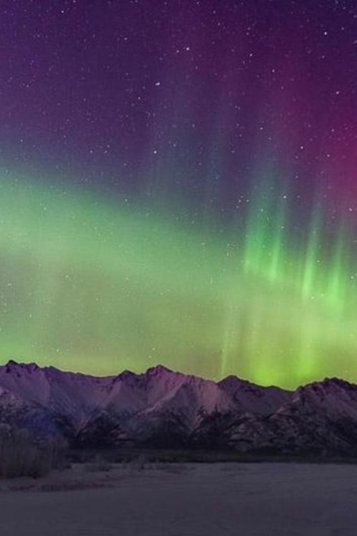 Anchorage: Aurora Borealis Northern Lights Photography Tour - Guides who make the difference