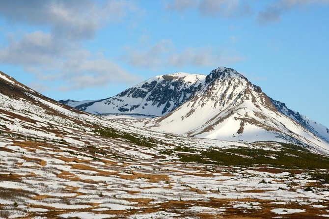 Anchorage Aurora Tour and Northern Lights Photo - Key points to know before booking
