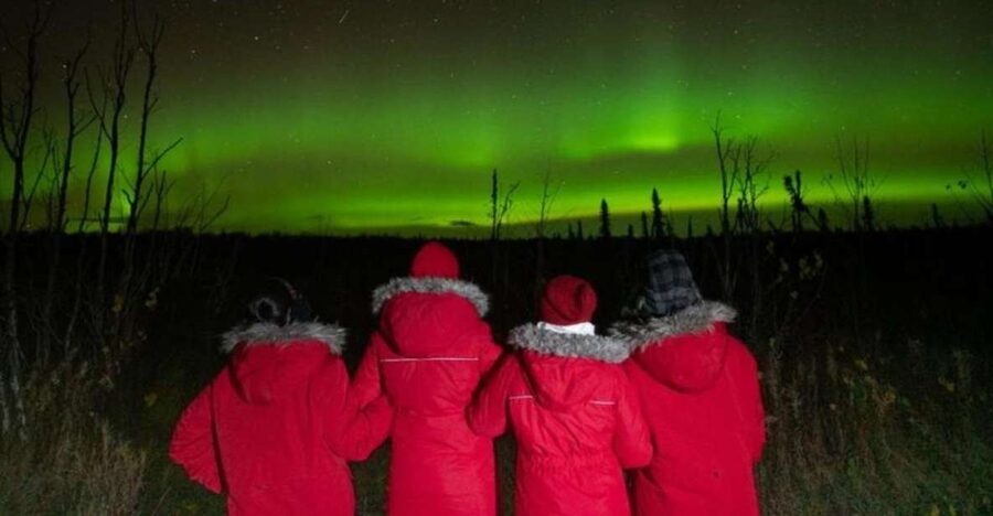 Anchorage: Nighttime Northern Lights Tour - Key points at a glance