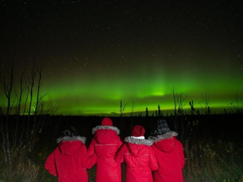 Anchorage: Nighttime Northern Lights Tour - Forecasting, weather, and the limits of luck