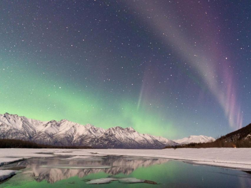 Anchorage: Nighttime Northern Lights Tour - What past departures tell you about the hosting